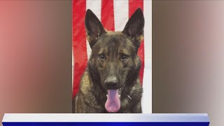 12 24 2024 Knox County's K9 Edo dies