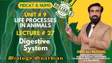 Lecture 27 MDCAT 2022 Biology Preparation Series (Digestive System: Part-2) PMC/NUMS/NEET