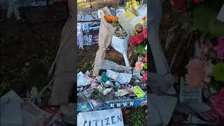 Kurt Cobain Memorial Bench | Lake Washington | Denny-Blane/Viretta Park #shorts
