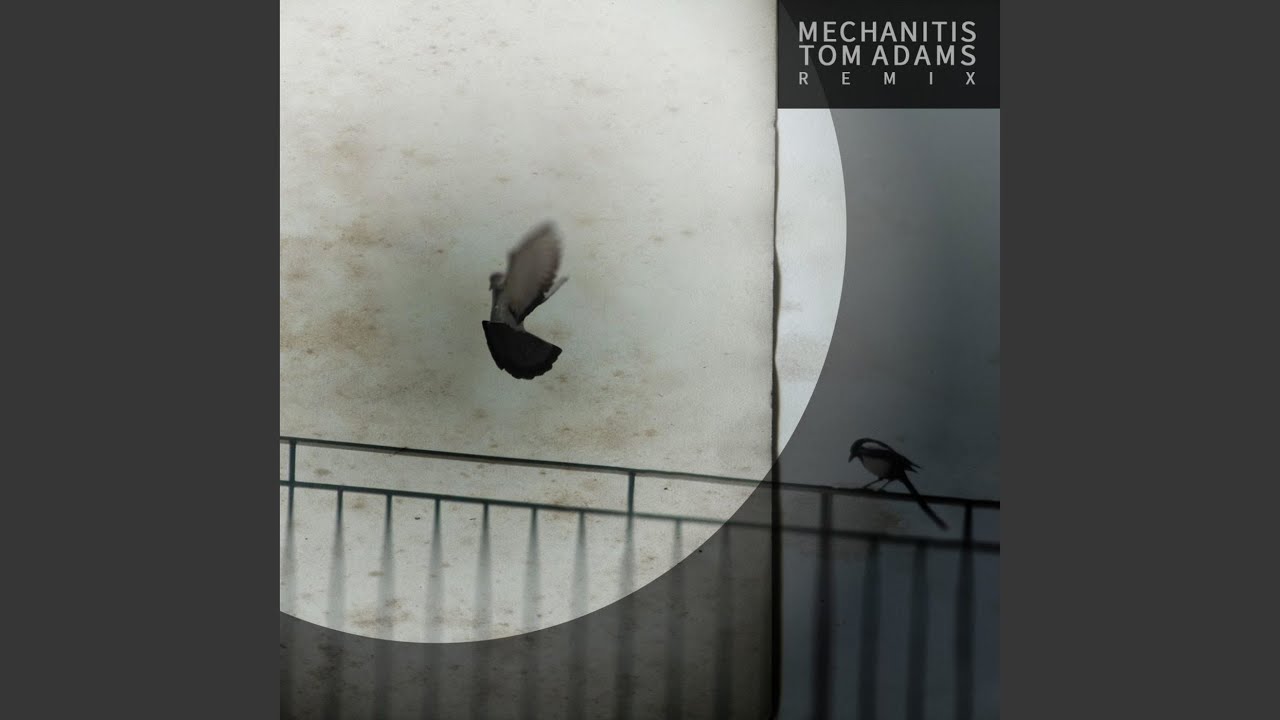 Mechanitis (Tom Adams Remix)