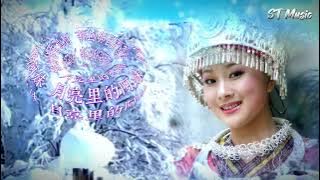 伤感情歌《月亮里的阿妹》【想你想你真的好想你  一天想你一万回】（动态歌词/Lyrics ）