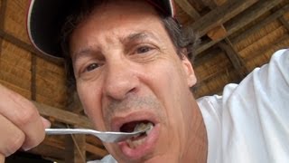 My Bizarre Foods With Andrew Zimmern Impression: Cambodia