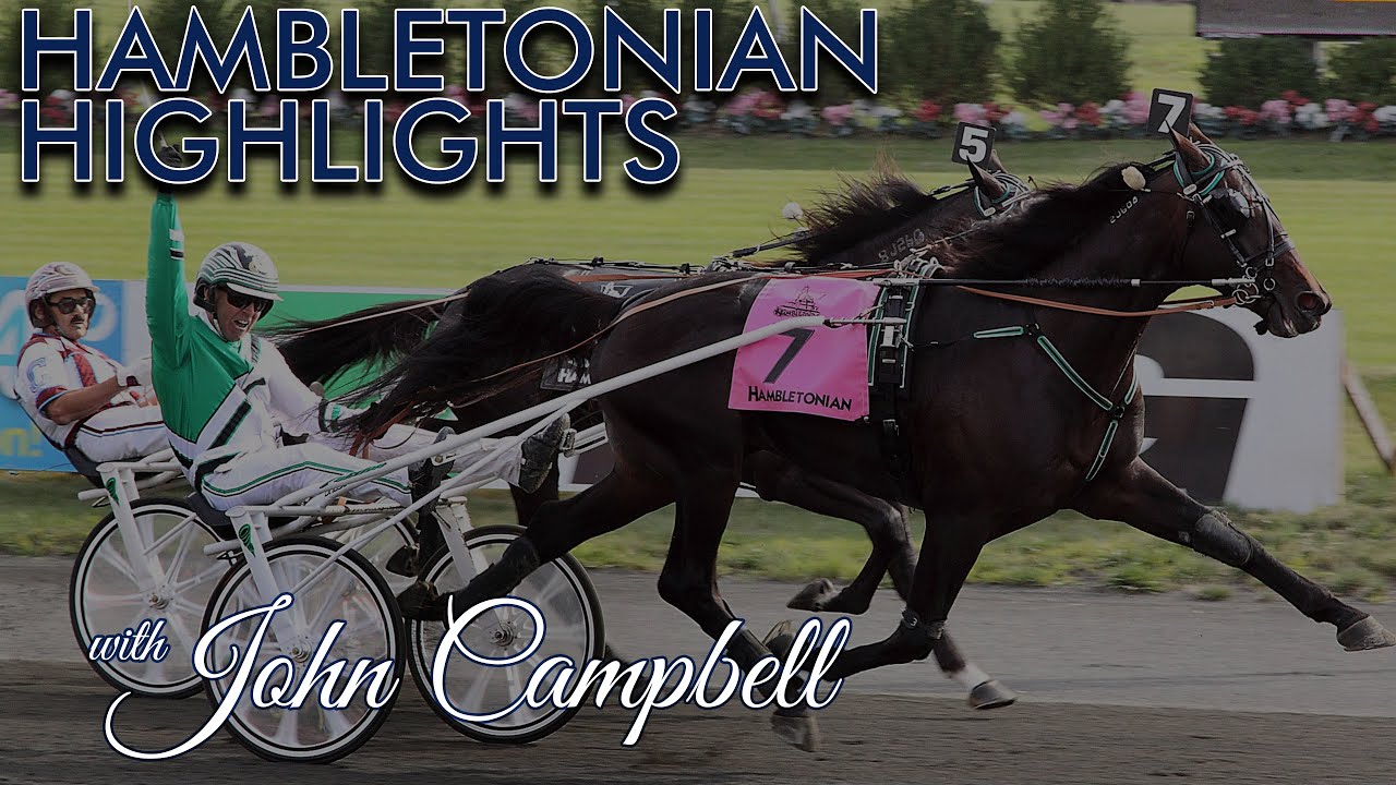 Hambletonian Highlights w/John Campbell | The Losses