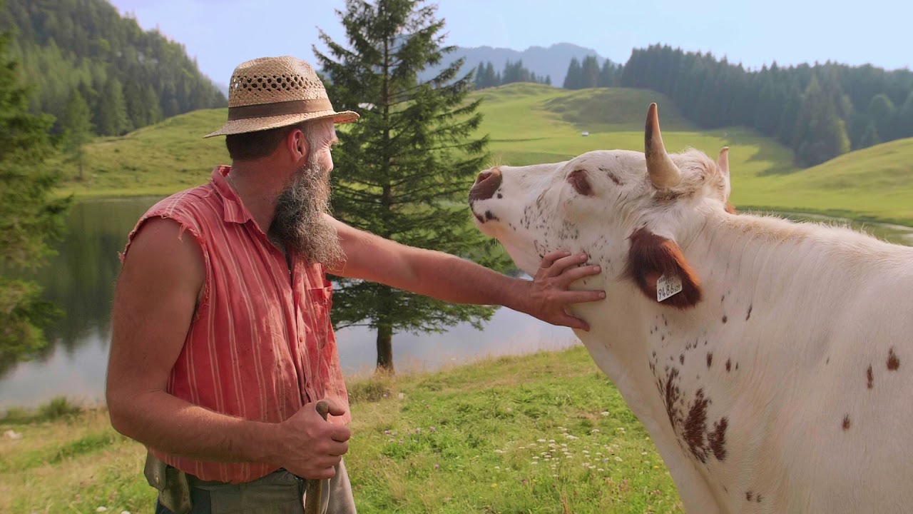 ARCHE Alm Seewaldsee