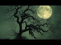 एक बहादुर बिल्ली और समझदार उल्लू | #SaViTales #story #shorts#shortvideo #yt #ytshorts#youtube#facts