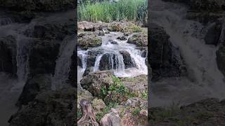 Banyu Kali #shorts #shortvideo #alam #sungai #kali #fyp