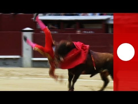 فيديو: نصائح المشاهد لمصارعة الثيران في إشبيلية ، إسبانيا