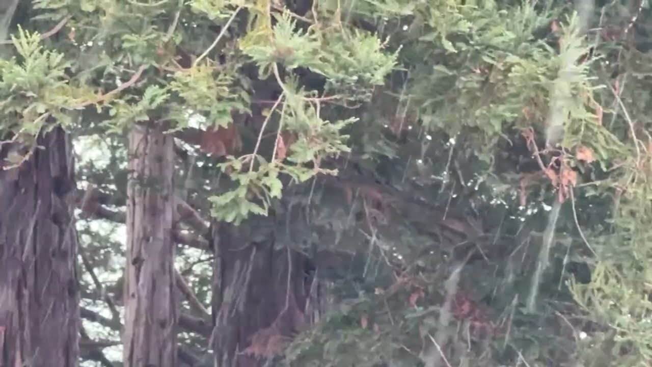 Music Venue Santa Cruz Mountains Music Venue Santa Cruz Mountains