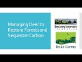 Managing Deer to Restore Forests and Sequester Carbon