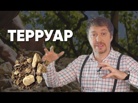 Видео: Как да превеждам термини