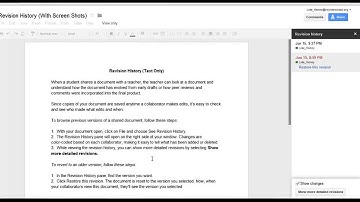Revision History Google Drive