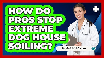 How Do Pros Stop Extreme Dog House Soiling? - PetGuide360.com