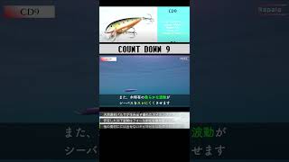 水中映像つべこべ言わずまずはCd9でしょRapalaさんありがとうシーバス