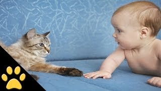 Cute Cats And Adorable Babies: Compilation