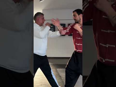 🟢Explosiv #paksungbo #jeetkunedo #kungfu #selbstverteidigung #wingchun #wingtzun #wingtsun