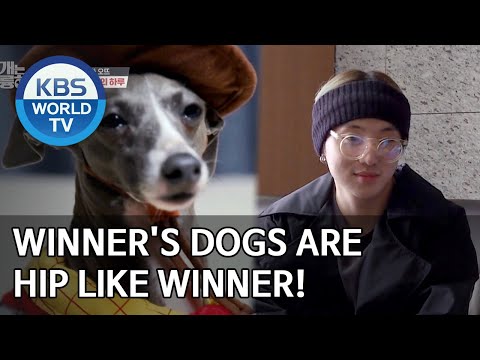 Winner&amp;#39;s <strong>dogs</strong> are <strong>hip</strong> like Winner! [<strong>Dogs</strong> are incredible/ENG,CHN/2020.05.13]