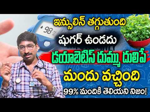 400 ఉన్న షుగర్ 120 దిగుతుంది రోజు 4 ఆకులు తింటే | Diabetes, sugar thaggalante Dr Srinivas Chalimella