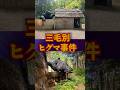三毛別でヒグマに遭遇…【三毛別ヒグマ事件】