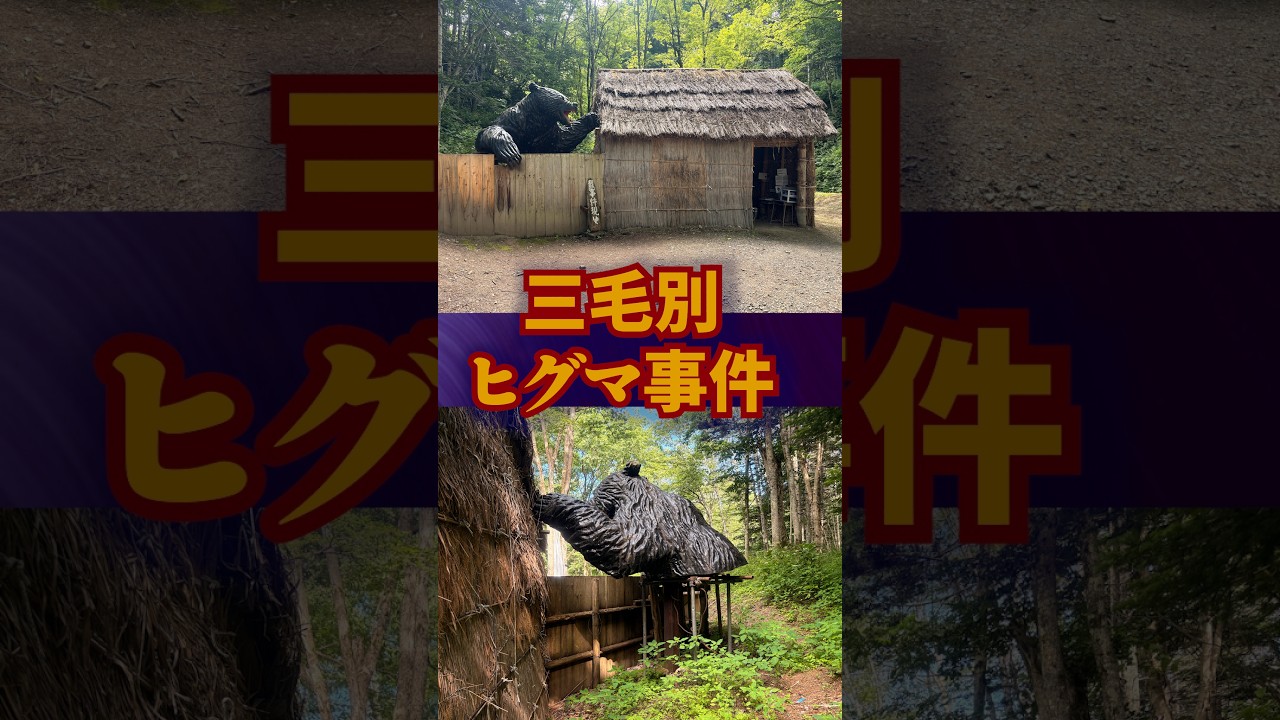 三毛別でヒグマに遭遇…【三毛別ヒグマ事件】