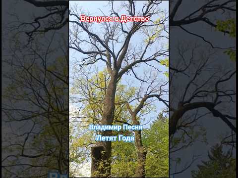 Владимир Песня / Летят Года #short #musicshorts #shortsvideo