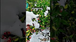 #snowfall #snow #srinagar #iok #gulmarg #pehalgam #Love Mere hath mai tera hath ho.