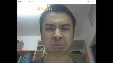 Real-time Facial Expression Recognition