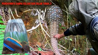 GOING VIRAL!! THE MOST TERRIFYING ANIMAL FINDING WHILE FISHING FOR CHANNA LIMBATA IN A DRY RIVER