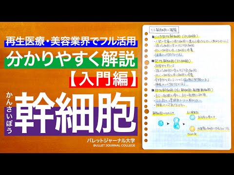 幹細胞について【ヒト幹細胞・ヒト幹細胞培養液・エイジングケア・ターンオーバー・抗老化におすすめな幹細胞について解説】