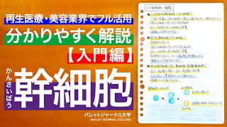 幹細胞について【ヒト幹細胞・ヒト幹細胞培養液・エイジングケア・ターンオーバー・抗老化におすすめな幹細胞について解説】