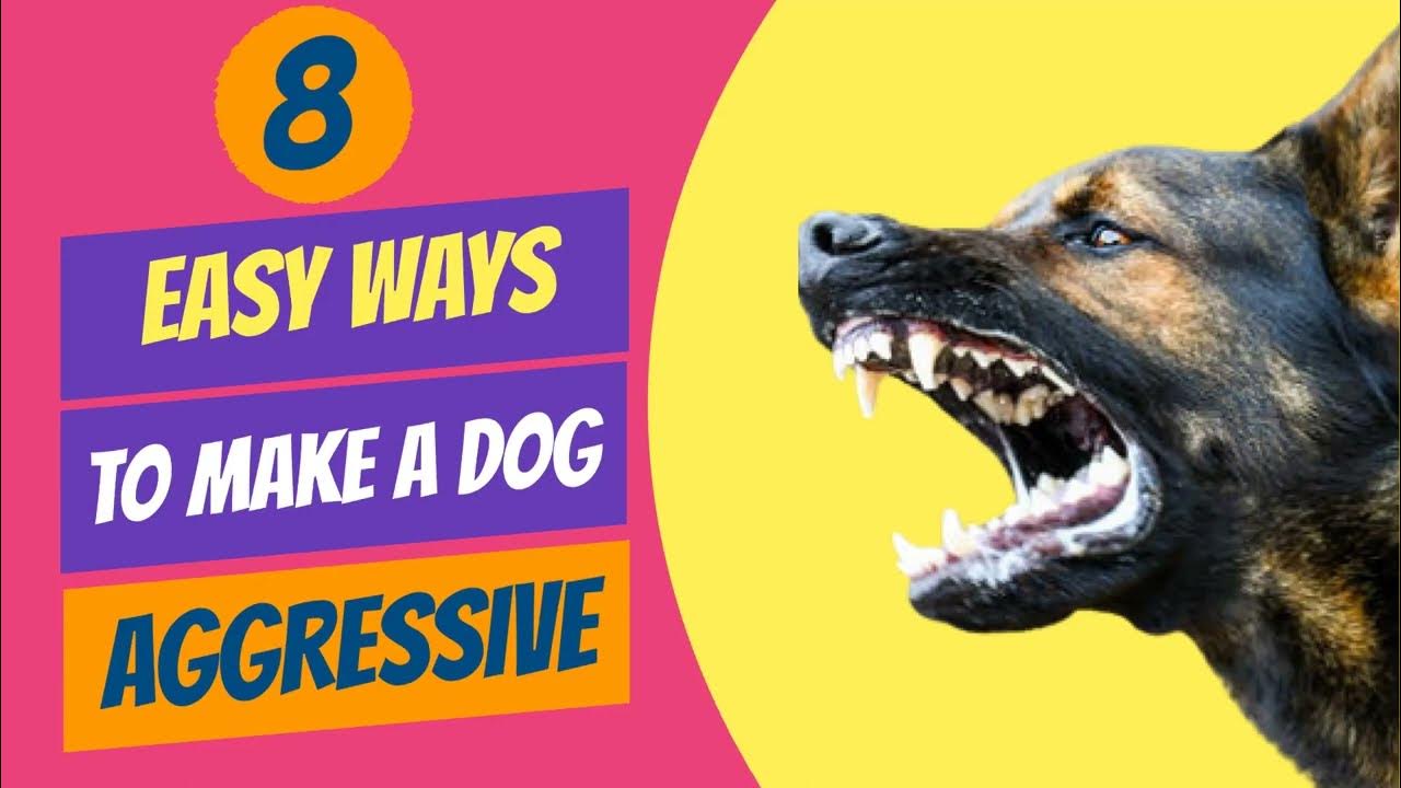 Easy Ways To Make A Dog Aggressive Towards Strangers YouTube
