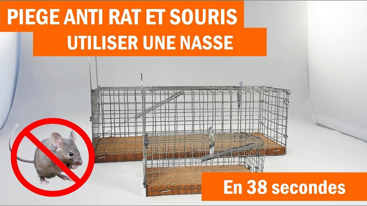 Une souris qu'on ne piège pas - Vidéo Dailymotion