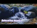 ASMR 12 minute The Soothing Sound of a Stream||relaxion||meditation||focus