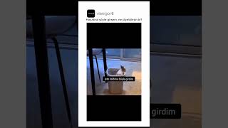 Hayatına Şöyle Bir Giriş Yapsam, Ne Diyebilirsin Ki?