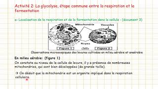 2ème Bac: Unité 1/Chapitre1/ Les voies métaboliques & La glycolyse + La méthode d'analyse de graphes