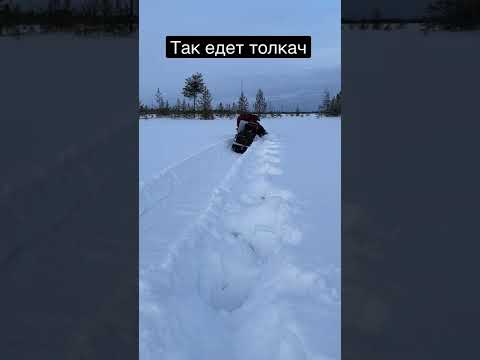 Честный тест