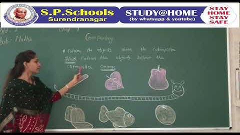 STD 1 CBSE | MATHS LEC 1 | S P SCHOOL SURENDRANAGAR