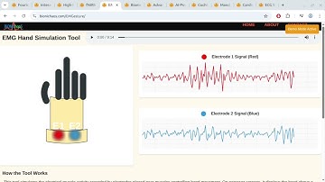 Decoding Health: Why Chaos is Key to the Heart, Brain & Medical AI