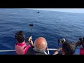 Blue whale in Indian Ocean (Sri lanka)