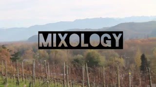 MIXOLOGY - VOYOU
