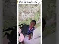 الشعب الجزائري قاع يعاني Sndagnas سندغنس اكسبلور 