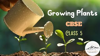 Growing Plants - CBSE  Class 5