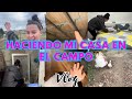 🏡UN DÍA CONMIGO VLOG DE MI AVENTURA || Haciéndome una Casa en el Campo 🏡