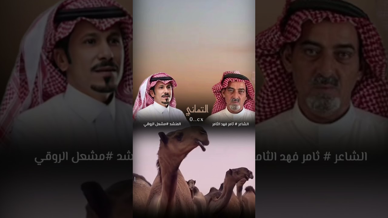 الشاعر ثامر فهد الثامر & المنشد مشعل الروقي ٢٠٢٣شيلة ( التماني)