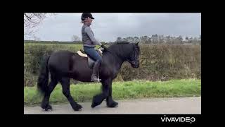 Ad ref 272795