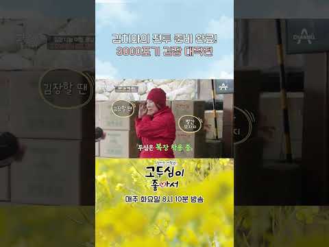 고두심 배추 3000포기 김장 대작전🤣 #shorts #고두심이좋아서 #광양