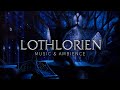 Lord of the Rings Music & Night Windy Forest Ambience | Lothlórien Theme