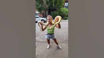 Snake Says "Hello" To Stranger