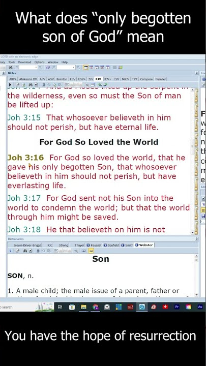 What does ONLY BEGOTTEN SON mean?