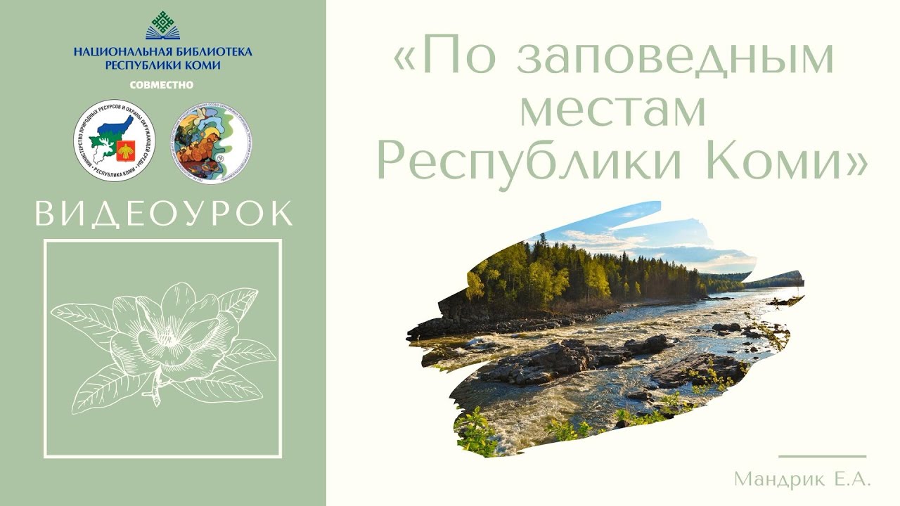 Министерство природных коми. Экологическая ситуация в Республике Коми.