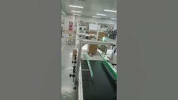 4-head thermal inkjet printer Online with weighing machine for variable data marking on carton box